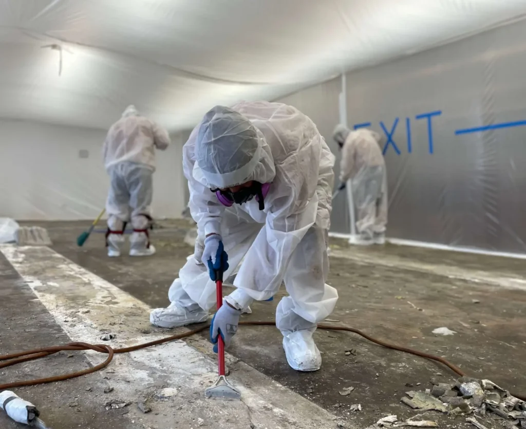 Asbestos Removal Service